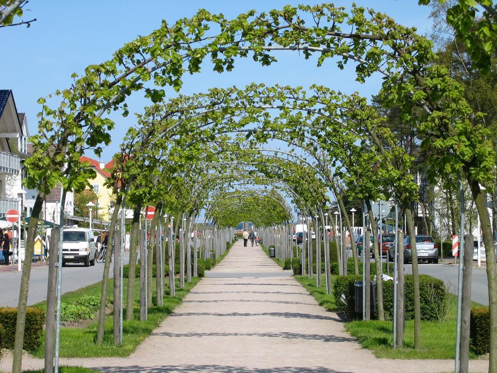 Traumferienwohnung Ostseebad Baabe - Ruegen Rom bilde
